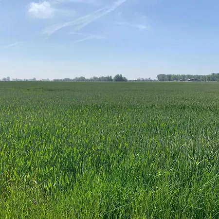 Apartment In Near Marina