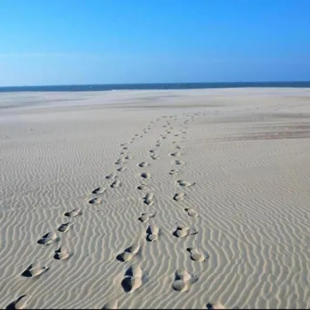 Apartment In Near Marina *