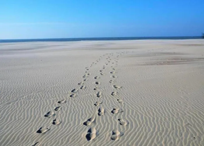 Lejlighed In Near Marina *