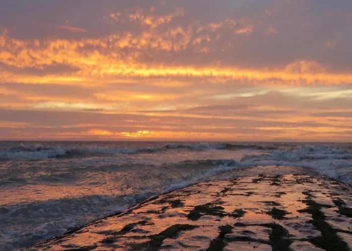 Lejlighed In Near Marina Nieuwpoort